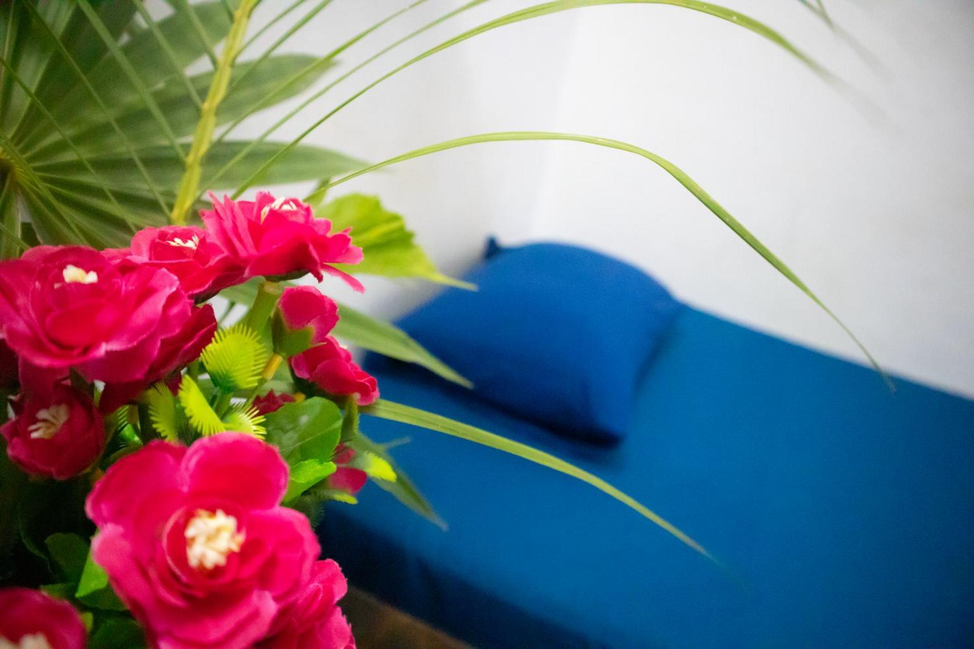 Hostal Shalom Puerto Escondido  Kültér fotó